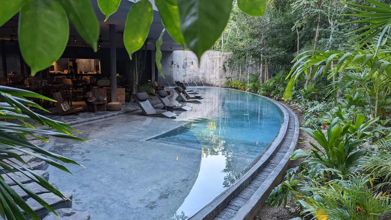 Charming Jungle Apartment In Luum Zama With Pool By Yeah Tulum