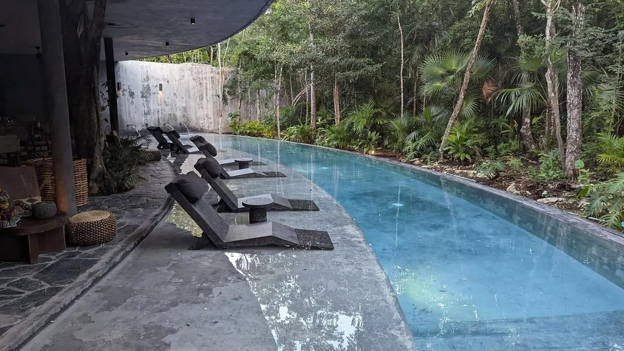 Charming Jungle Apartment In Luum Zama With Pool By Yeah Tulum 0*,