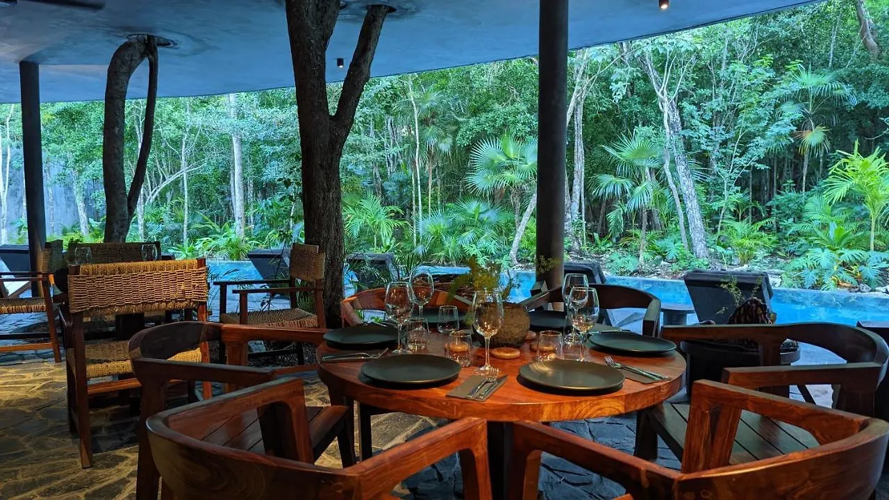 Charming Jungle Apartment In Luum Zama With Pool By Yeah Tulum Mexico