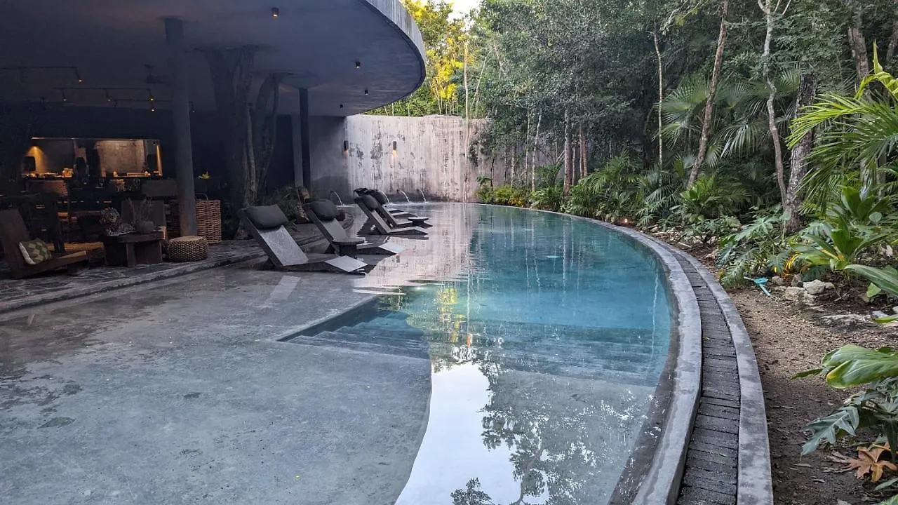 Charming Jungle Apartment In Luum Zama With Pool By Yeah Tulum