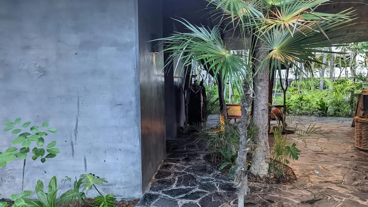 Charming Jungle Apartment In Luum Zama With Pool By Yeah Tulum 0*,