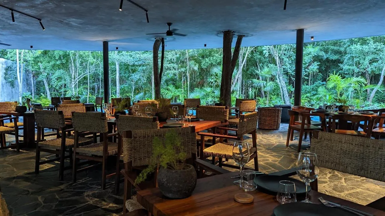 Charming Jungle Apartment In Luum Zama With Pool By Yeah Tulum