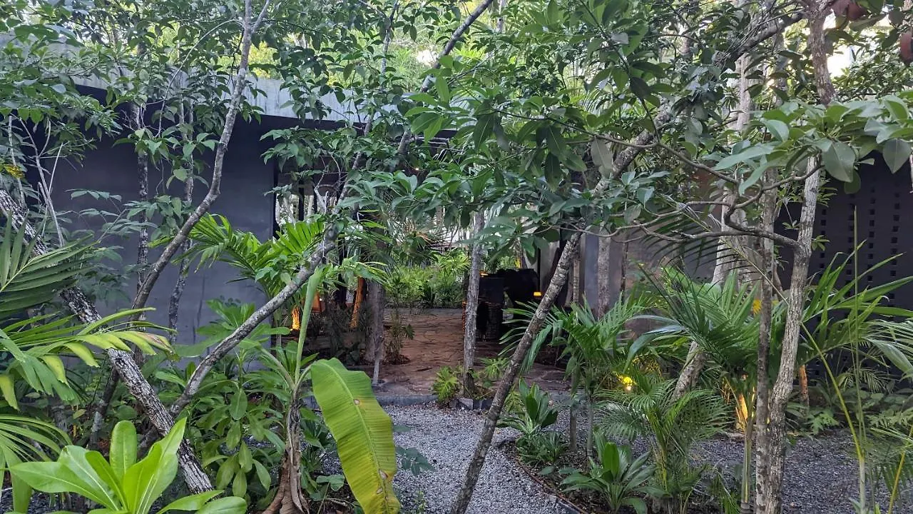Charming Jungle Apartment In Luum Zama With Pool By Yeah Tulum