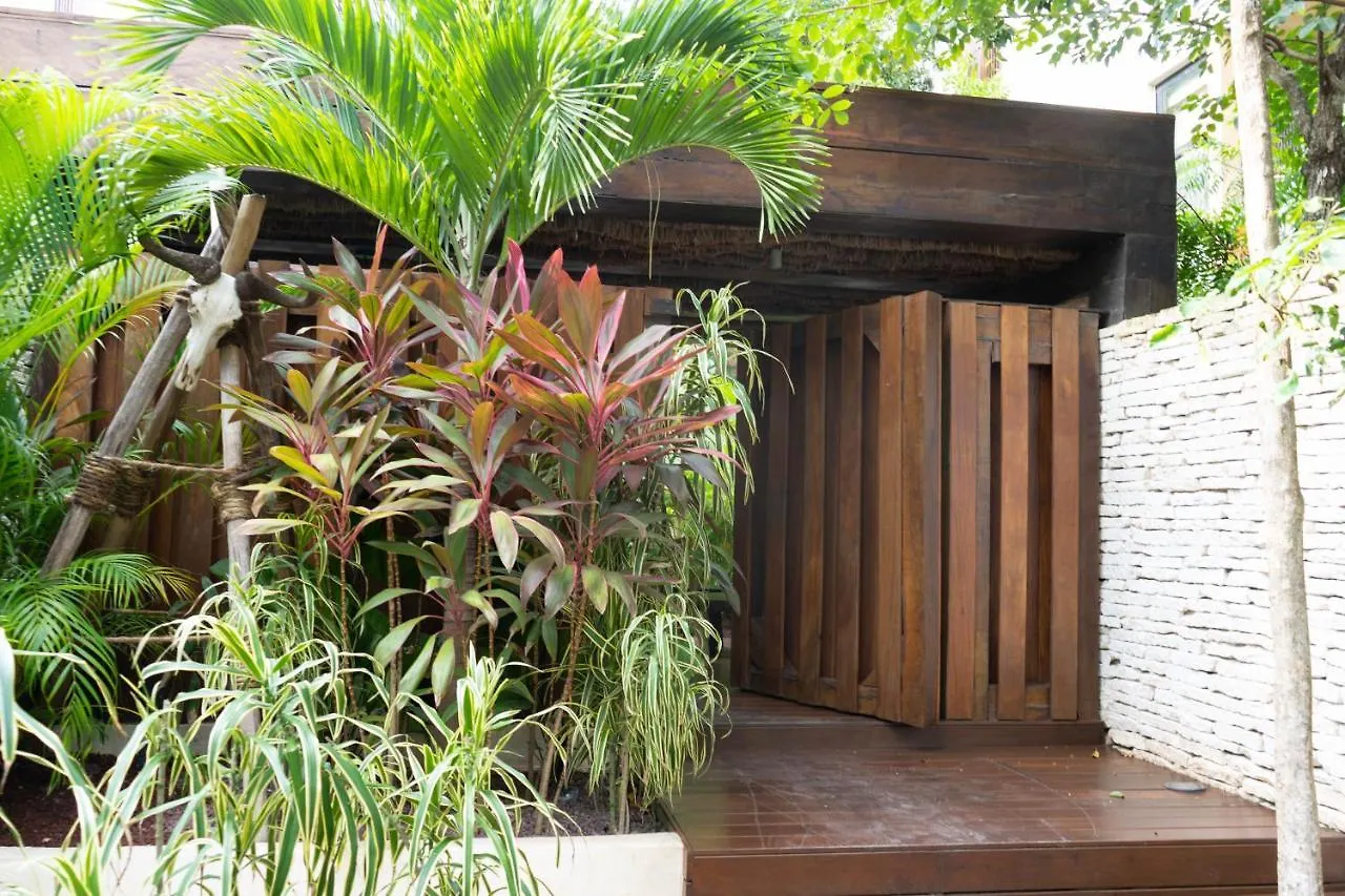 Charming Jungle Apartment In Luum Zama With Pool By Yeah Tulum Mexico
