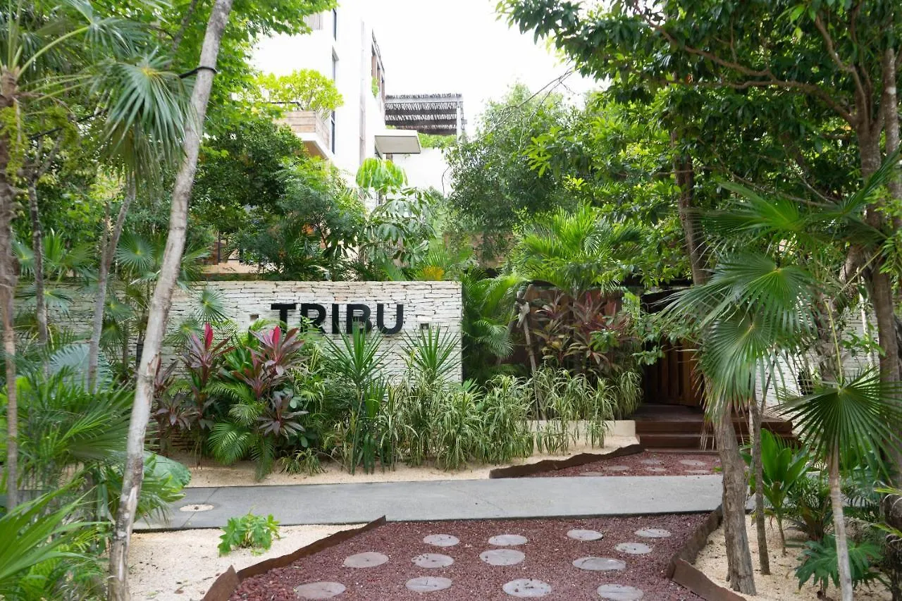 Charming Jungle Apartment In Luum Zama With Pool By Yeah Tulum Mexico