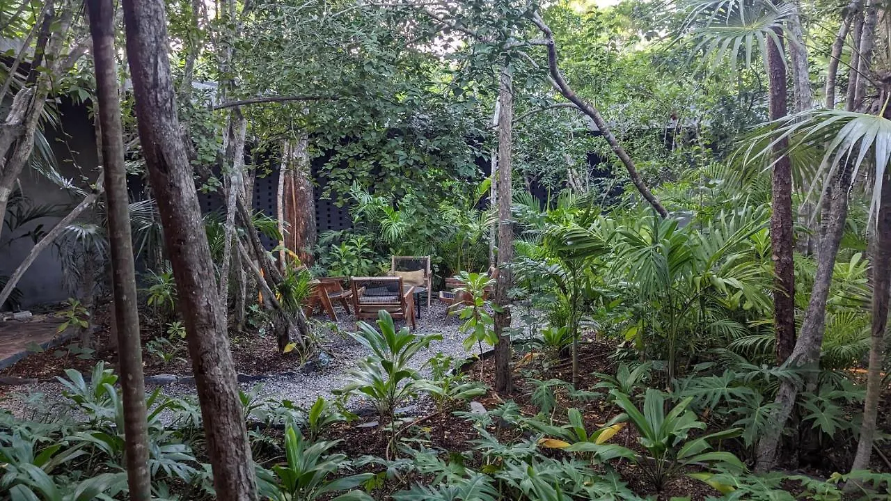 Charming Jungle Apartment In Luum Zama With Pool By Yeah Tulum
